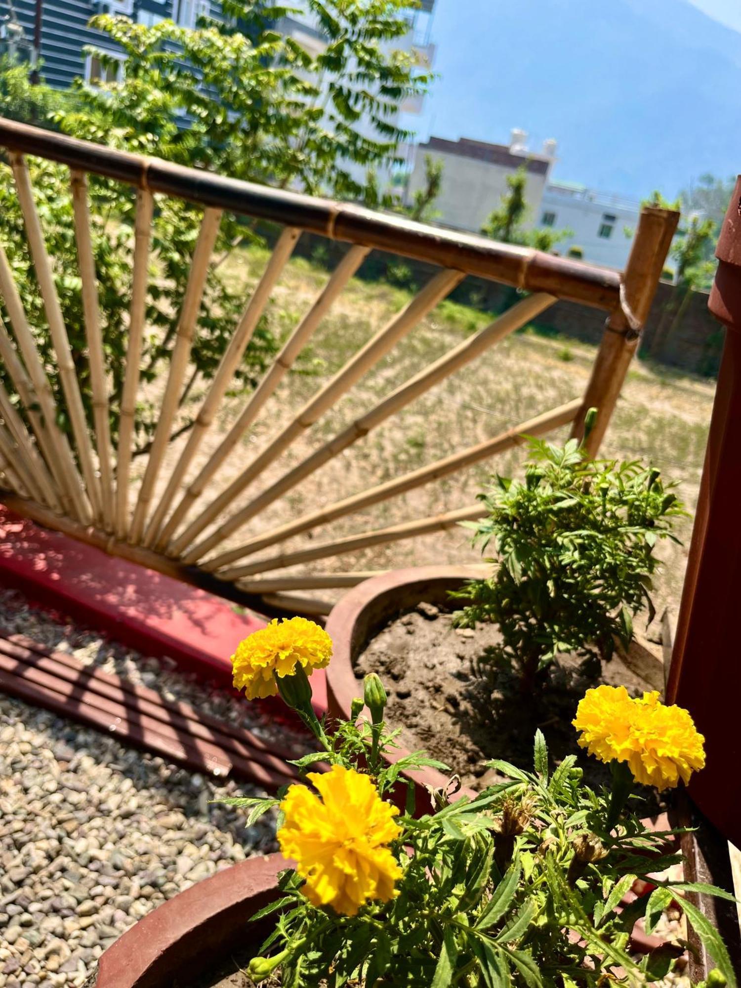 Bamboo Garden Cottages And Cafe Ришикеш Экстерьер фото